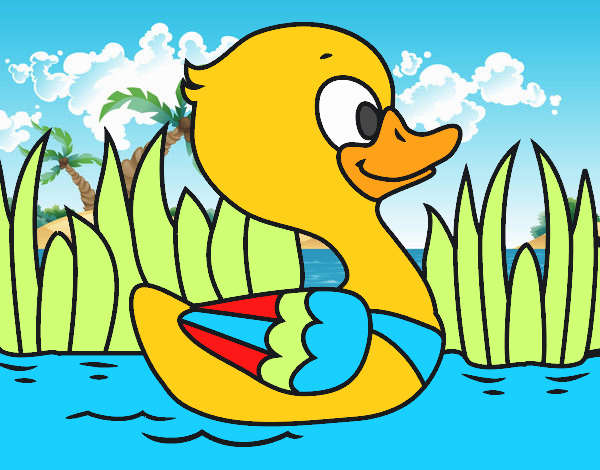 Patito de río