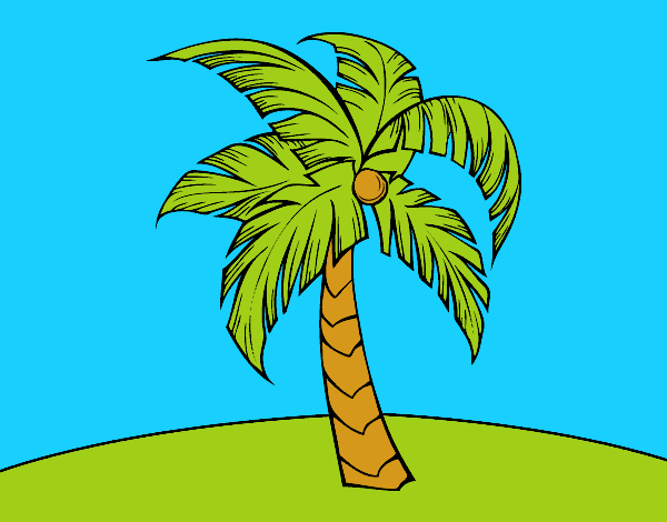 Una palmera