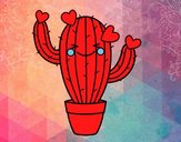 Cactus corazón