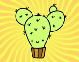 Cactus nopal