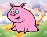 Cerdito de granja