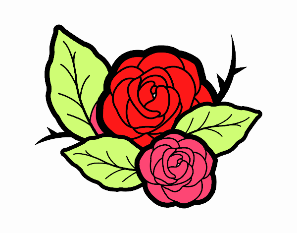 Dos rosas