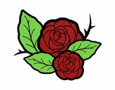 Dos rosas