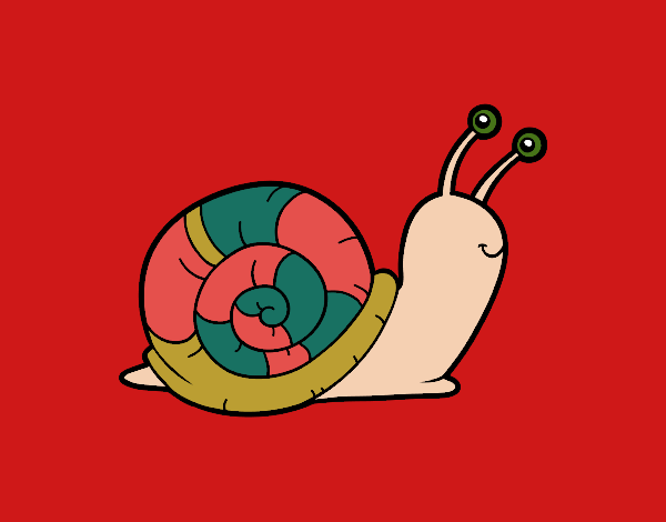 El caracol