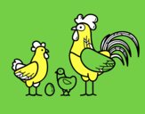 Familia gallina