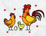 Familia gallina