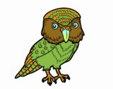 Kakapo