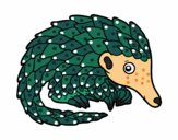 Pangolin