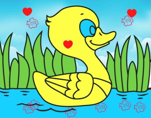 Patito de río