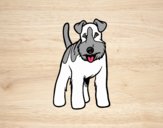 Perro Fox terrier