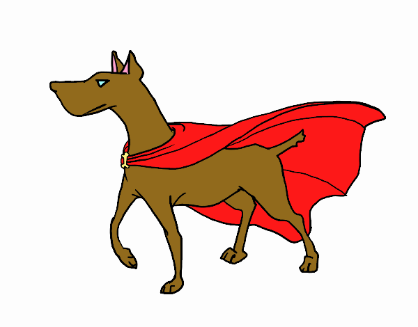 perro super