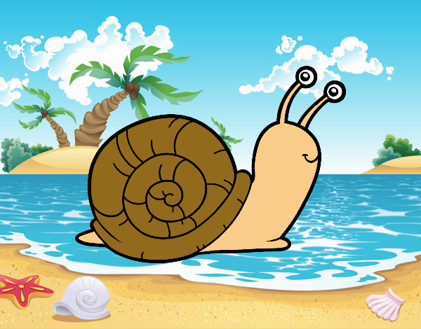 Un caracol