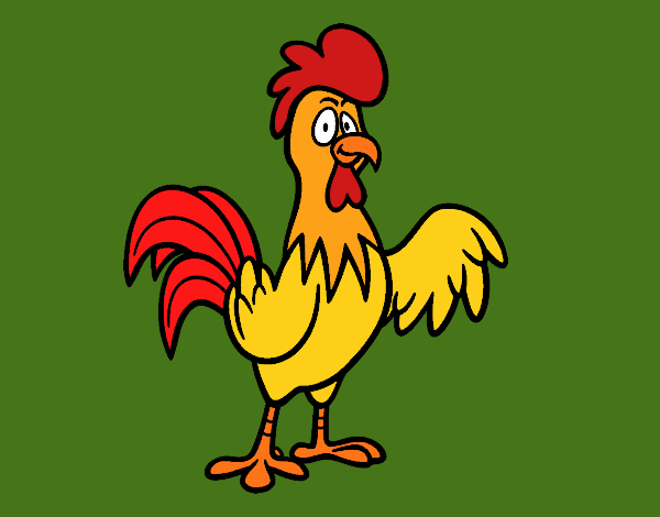 Un gallo de corral