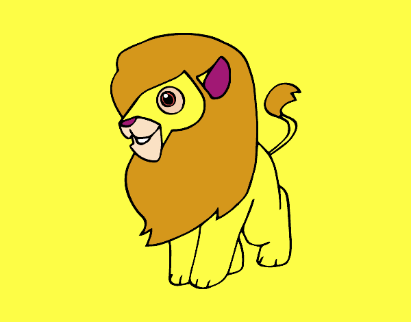 Un león