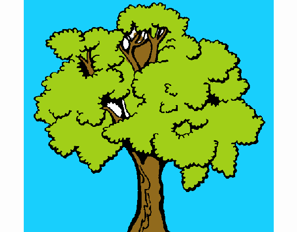 Árbol 1