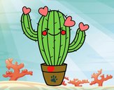 Cactus corazón