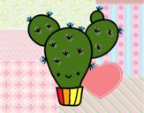 Cactus nopal