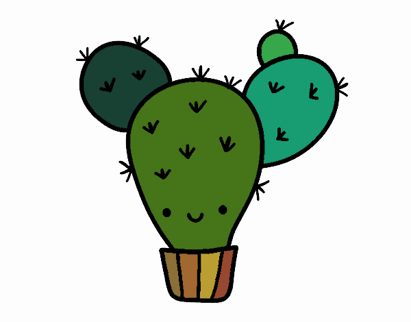 Cactus nopal