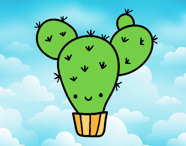 Cactus nopal