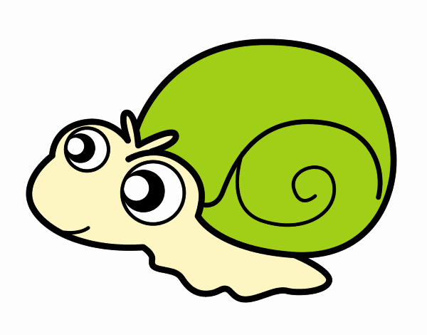 Caracol bebé