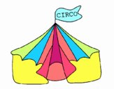 Circo