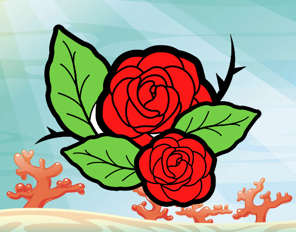 Dos rosas