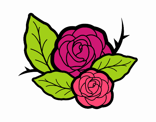 Dos rosas