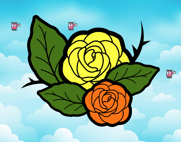 Rosa voladora.