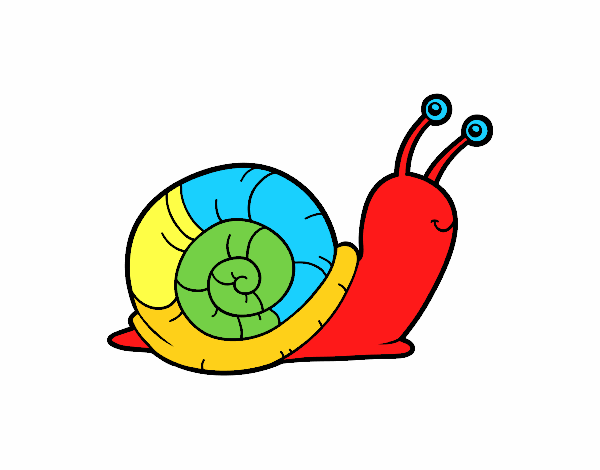 El caracol