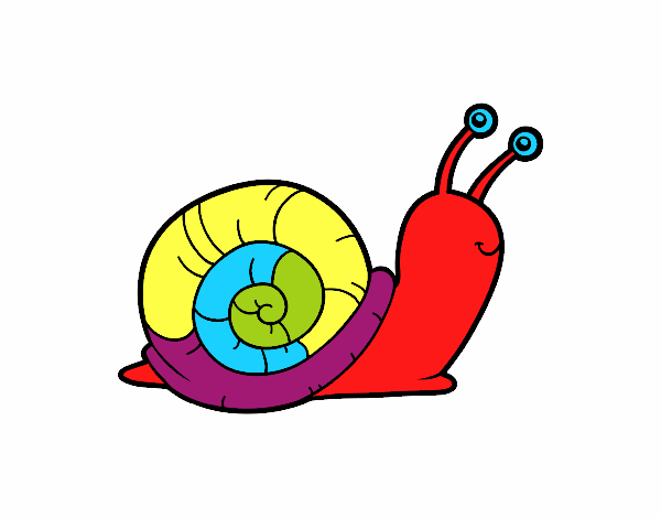 El caracol