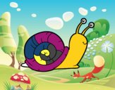 El caracol