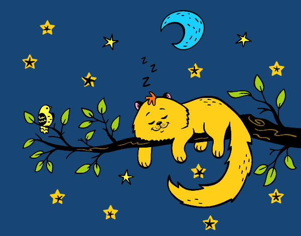 El gato y la luna