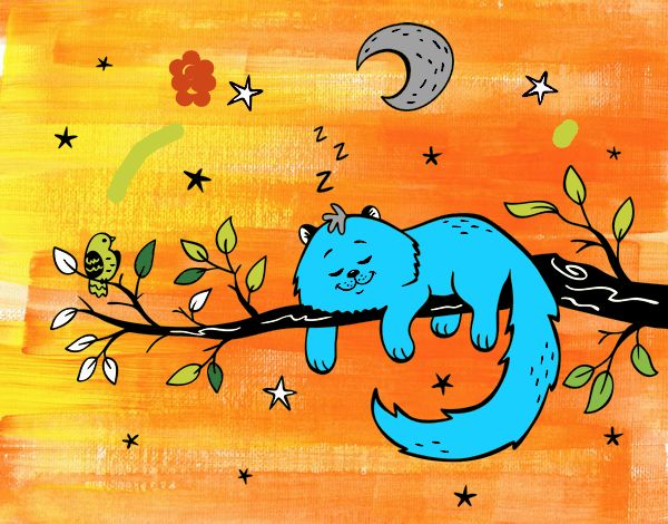 El gato y la luna