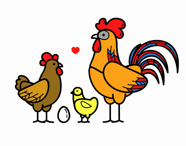 Familia gallina