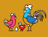 Familia gallina