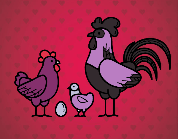 Familia gallina