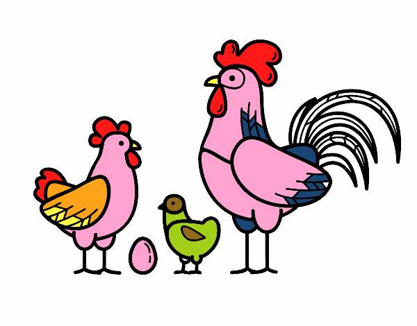 Familia gallina