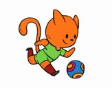 Gato jugando a fútbol