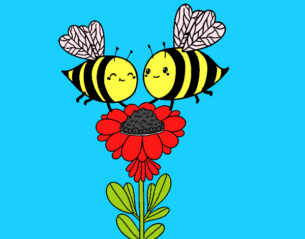 Pareja de abejas