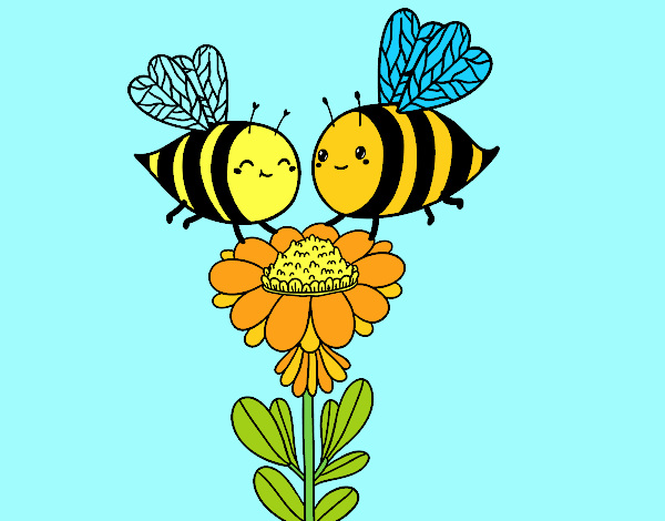 Pareja de abejas