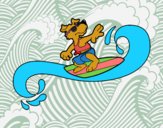 Perro surfeando