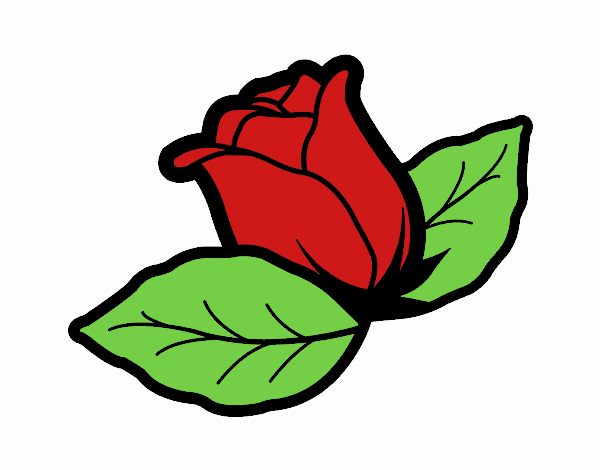 una rosa con hoja