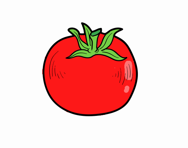 Tomate ecológico