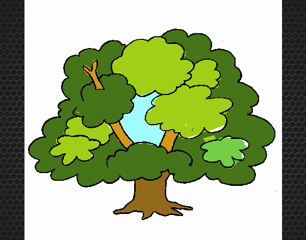 Árbol