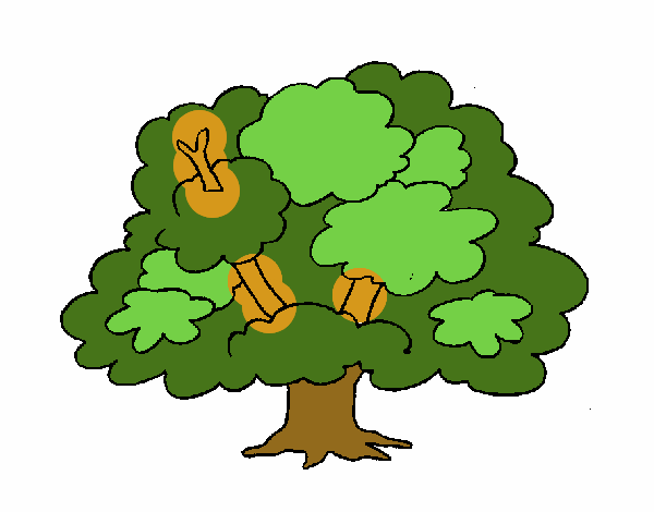 Árbol