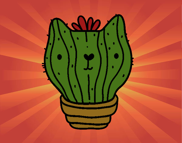 Cactus gato