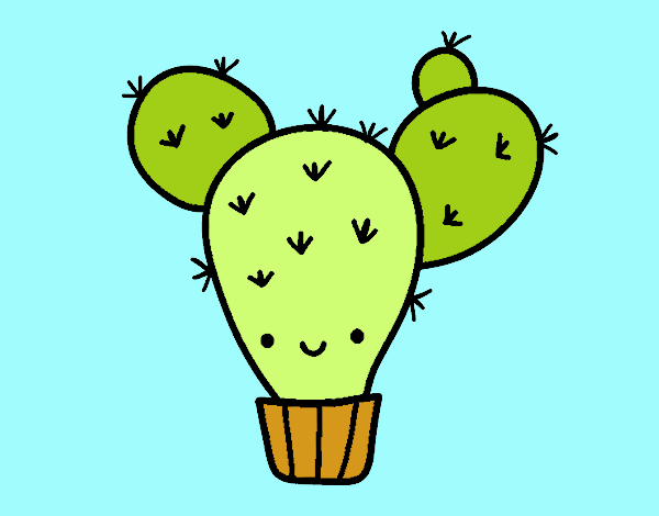 Cactus nopal