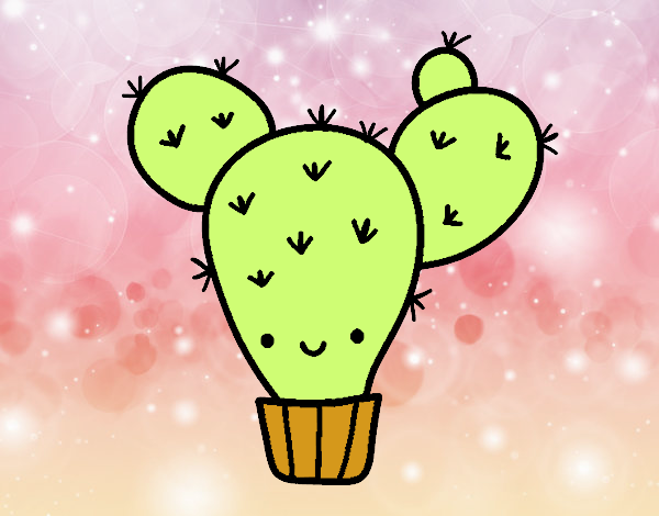 Cactus nopal