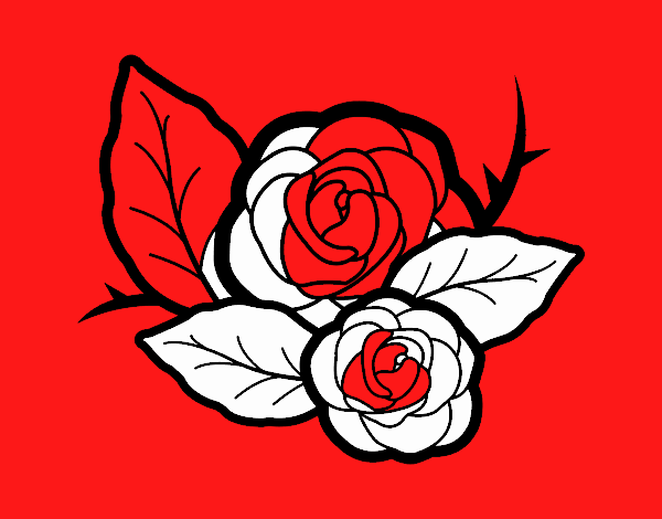 Dos rosas