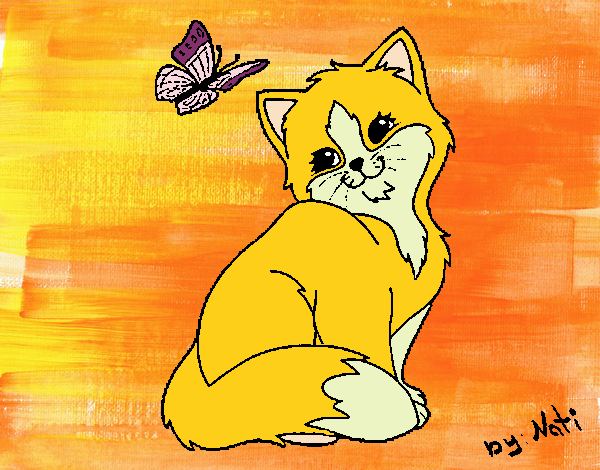 Gatito y mariposa